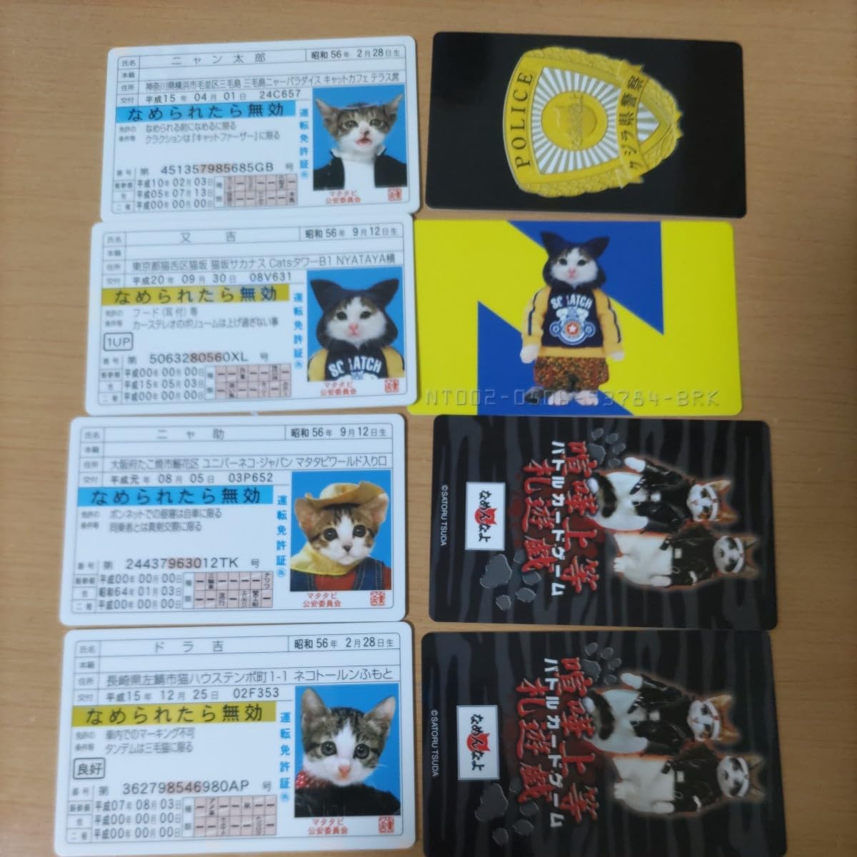 楽天市場】なめ 猫 グッズの通販 なめんなよ免許証キーホルダー なめ猫 12